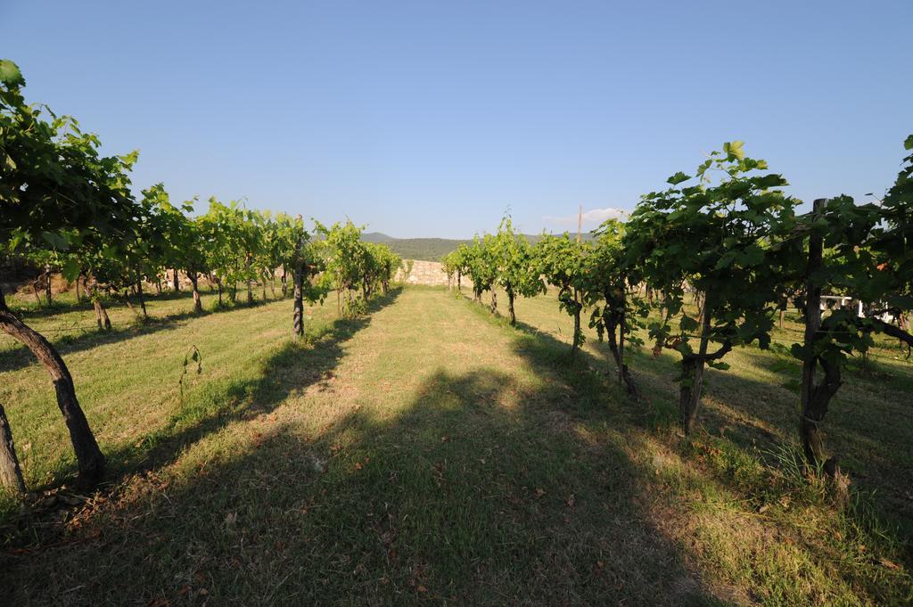 Agriturismo Scorgiano Luaran gambar